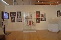 view of exhibit